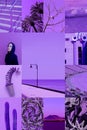 Set of trendy aesthetic photo collages. Minimalistic images of one top color. Purple moodboard Royalty Free Stock Photo