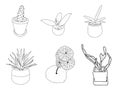 Set of trendy Air purification trees drawn hand with black outline Monstera, Aloe vera, snake plant, Green Sansevieria and Cactus