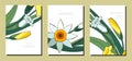 Set of trendy floral spring templates with white and yellow daffodils. Cards with narcissus. For romantic design