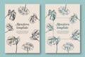 Set of trendy hand drawn palm leaves backgrounds. Tropical vector templates. Decorative greeting card, invitation or poster.