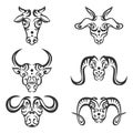 Set tribal ethnic mamalia head. Buffalo head, bull head, cow head, goat head and sheep head isolated on white. Modern graphic Royalty Free Stock Photo