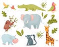 Set of tropical animals. Vector illustration on white background.