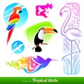 Set of tropical birds