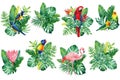 Set Tropical birds, flowers and palm leaves on white background, watercolor illustration, jungle design Royalty Free Stock Photo