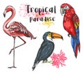 Set of hand drawn vector tropical birds Royalty Free Stock Photo