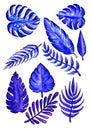 Set of Tropical blue Leaves close-up. Drawing with Markers. Isolated Plant blue elements Royalty Free Stock Photo