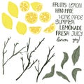 Set of tropical citrus fruits in hand drawn style. Lemon, leaf, brunch and hand written words collection in flat design.