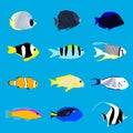 Set of tropical color sea fishes