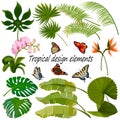 Set of tropical design elements. Royalty Free Stock Photo