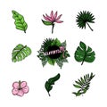 Set of tropical elements of tropical strelitzia flower, hibiscus, monster leaves, banana leaves, etc. Hand-drawn doodle Royalty Free Stock Photo