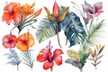 Set of tropical exotic bouquets with hibiscus flowers, butterfly tree flowers, bird in paradise and banana leaves, monstera and pa Royalty Free Stock Photo