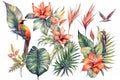 Set of tropical exotic bouquets with hibiscus flowers, butterfly tree flowers, bird in paradise and banana leaves, monstera and pa Royalty Free Stock Photo