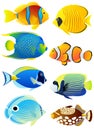 Set of tropical fish