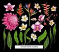 Set of tropical flowers. Vector design isolated elements.