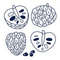 Set of tropical fruit icons in lines. Exotic Cherimoya. Vector doodle illustration