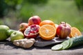 Set of tropical fruits colorful and fresh summer , healthy foods Many ripe fruit mixed on green natural  background Royalty Free Stock Photo