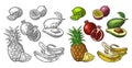 Set tropical fruits. Pineapple, lime, banana, pomegranate, maracuya, avocado.