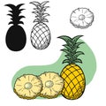 Set of tropical fruits, pineapple fruit with a piece, vector , on a transparent background Royalty Free Stock Photo