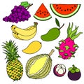 Set of tropical fruits sweet delicious vector illustration design art hand drawing