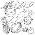 Set of tropical fruits sweet delicious vector illustration design art hand drawn