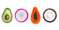 Set of tropical fruits. Vector Papaya, dragon fruits, Pitaya or Pitahaya, coconut and avocado