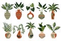 Set of tropical houseplants in vintage clay pots with ornaments. Decorative elements, icons vector