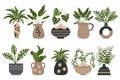 Set of tropical houseplants in vintage clay pots with ornaments. Decorative elements, icons vector