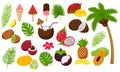 Set of tropical leaves and exotic fruits. Palm tree with coconut and ice cream, cocktail. Decorative elements in a flat cartoon Royalty Free Stock Photo