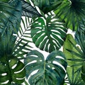 Seamless pattern with tropical leaves; monstera, palm, banana, saw palmetto, calathea. Watercolor illustration