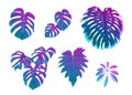 Set of tropical leaves in nein colors