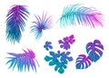 Set of tropical leaves in nein colors