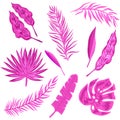 Set of tropical leaves Royalty Free Stock Photo