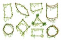Set of tropical liana frames, jungle plant branches with leaves. Tropical climbing liana vine with green leaves. Cartoon