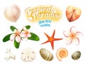 Set of tropical nature objects: sea shells, plumeria flowers frangipani sand dollar, starfish and water-worn pebbles.