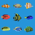 Set of tropical ocean fishes, vector illustration