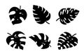 Set of tropical palm leaves, jungle Monstera leaves. Exotic collection of silhouette plants. Hand drawn botanical vector Royalty Free Stock Photo