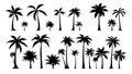 Set of Tropical Palm Tree Silhouettes on White Background generative Ai Royalty Free Stock Photo