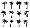 Set of Tropical palm trees Silhouettes Royalty Free Stock Photo