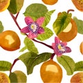 Set of tropical passion fruit, flowers and leaves watercolor illustration isolated on white background. Royalty Free Stock Photo