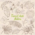 Set of tropical plants and flowers