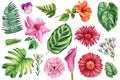 set of tropical plants and flowers on a white background, watercolor drawing, palm leaves, rose, hibiscus, pansy, fern