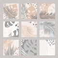 Set of tropical square templates for social media posts