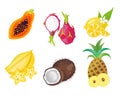 Set of tropical fruit. Papaya, dragonfruit, pineapple, coconut, lemon, carambola.