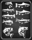Set of trout, salmon and perch fish icons on grunge background.