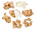 Set of tubers of jerusalem artichoke sunroot Royalty Free Stock Photo