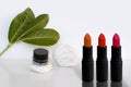 Set of tubes of lipstick stand on a white background with vibrant green leaves, lip gloss in a black jar on a stone, make-up, the Royalty Free Stock Photo