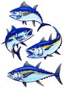 Set Of Tuna Fish In Colors Version