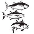 Set of tuna fish icons isolated on white background. Design elem Royalty Free Stock Photo