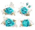Set of turquoise roses Royalty Free Stock Photo