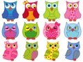 Set of twelve colourful cartoon owls